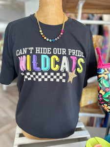 Can’t Hide Our Pride - Wildcats