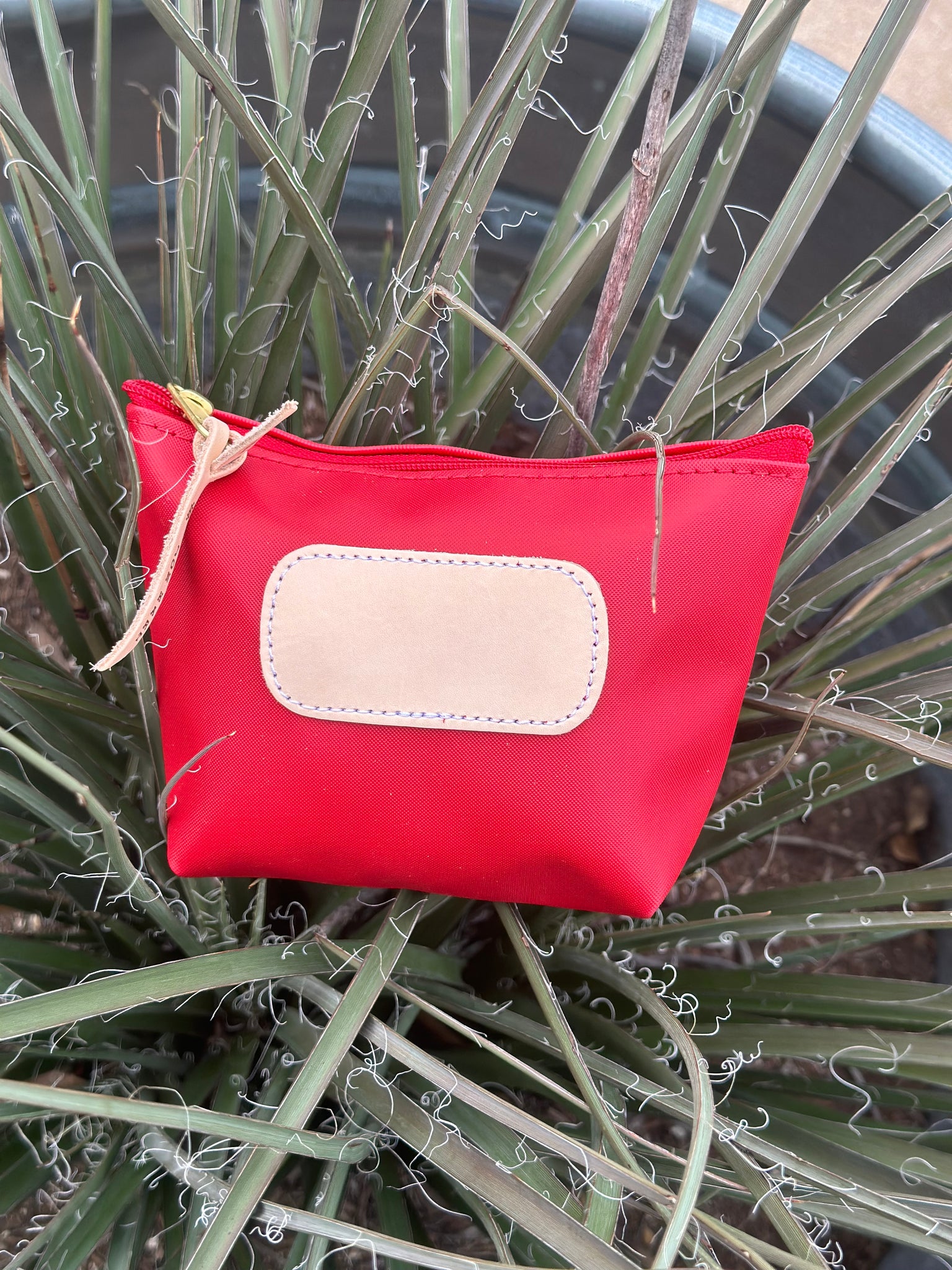 Chico in Red