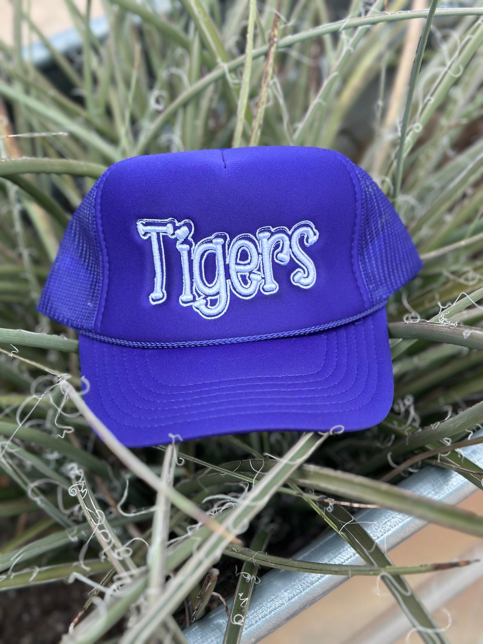 Purple Tigers 🐅 Cap