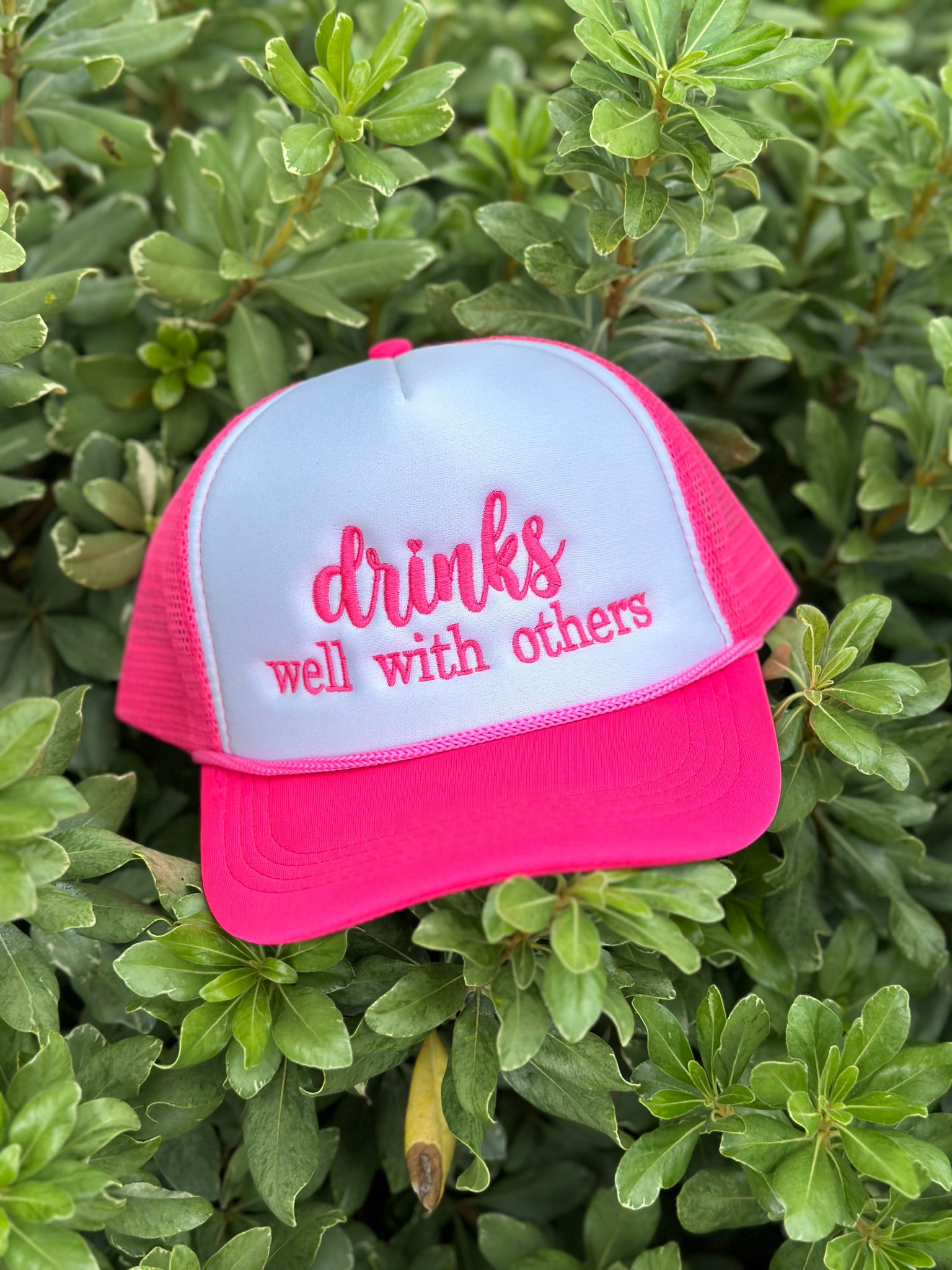 Drinks well with Others Cap