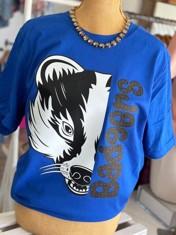 We are the Badgers on Blue