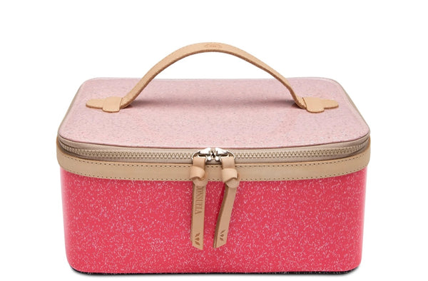 Bae Train Case
